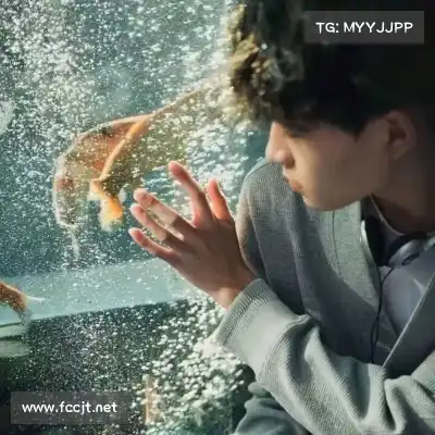 史怀玄